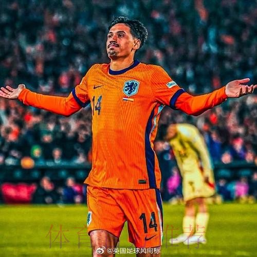 TA:米兰罗马均有意拜利 沃特福德想租借莱尔德 TA:米兰罗马均有意拜利 沃特福德想租借莱尔德